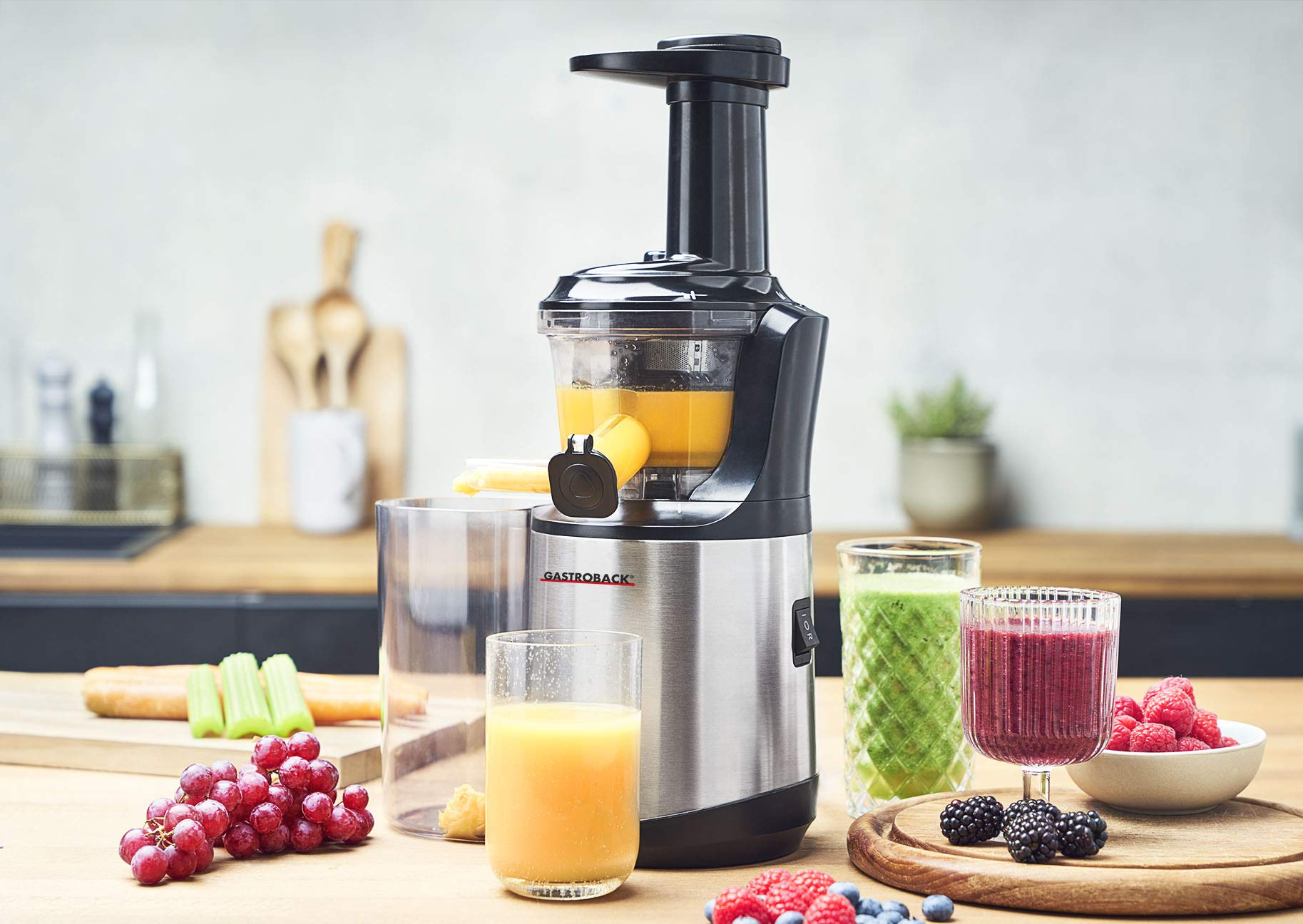 gastroback-slow-juicer-advanced-vital-entsafter-150-watt-schwarz-silber image 2
