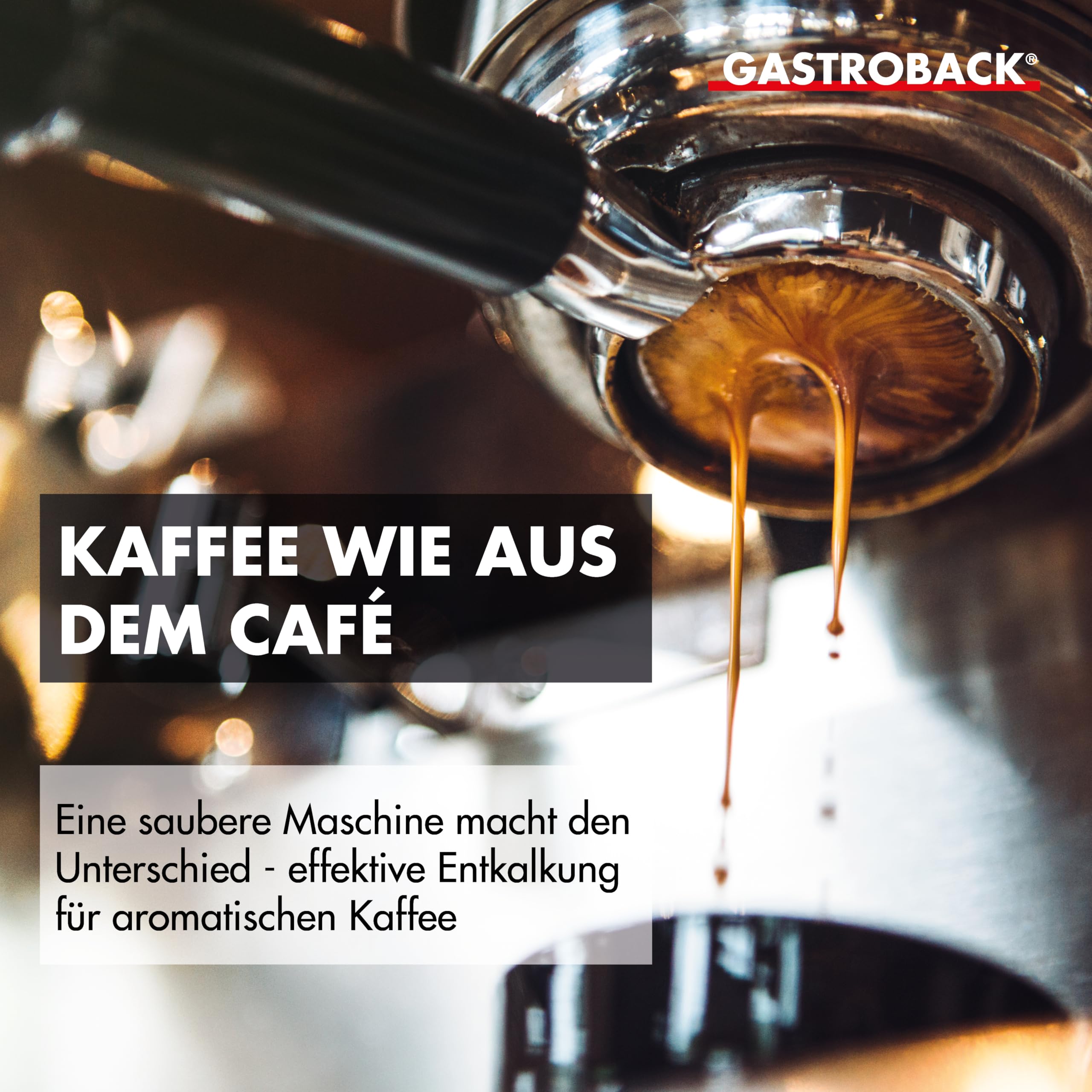 gastroback-98175-premium-entkalker-fl-ssig-mit-amidosulfons-ure image 2