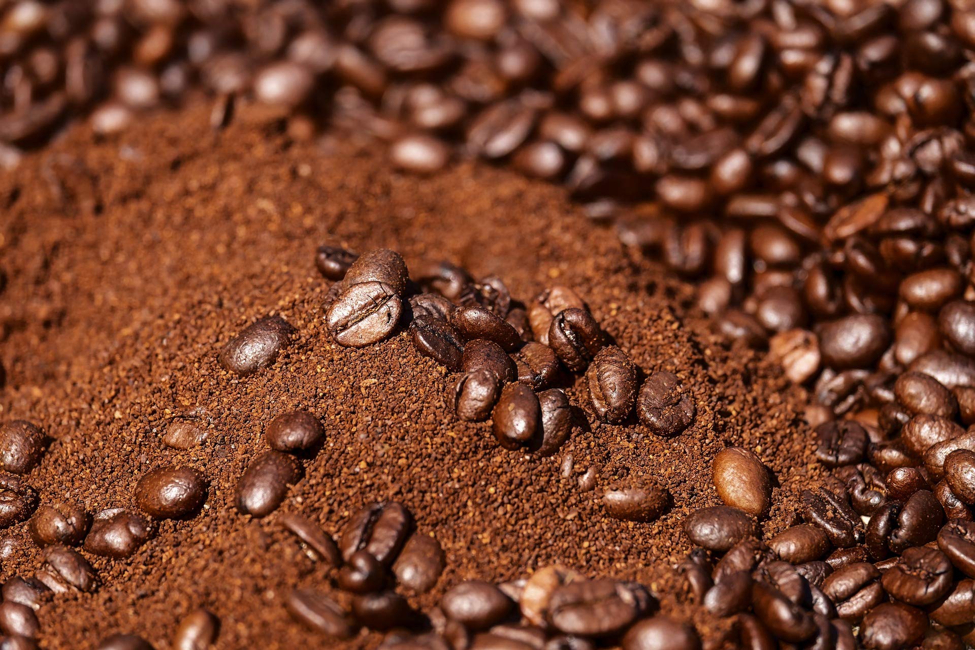 gastroback-96902-speicherstadt-caf-espresso-ganze-bohnen-1-000-g image 4