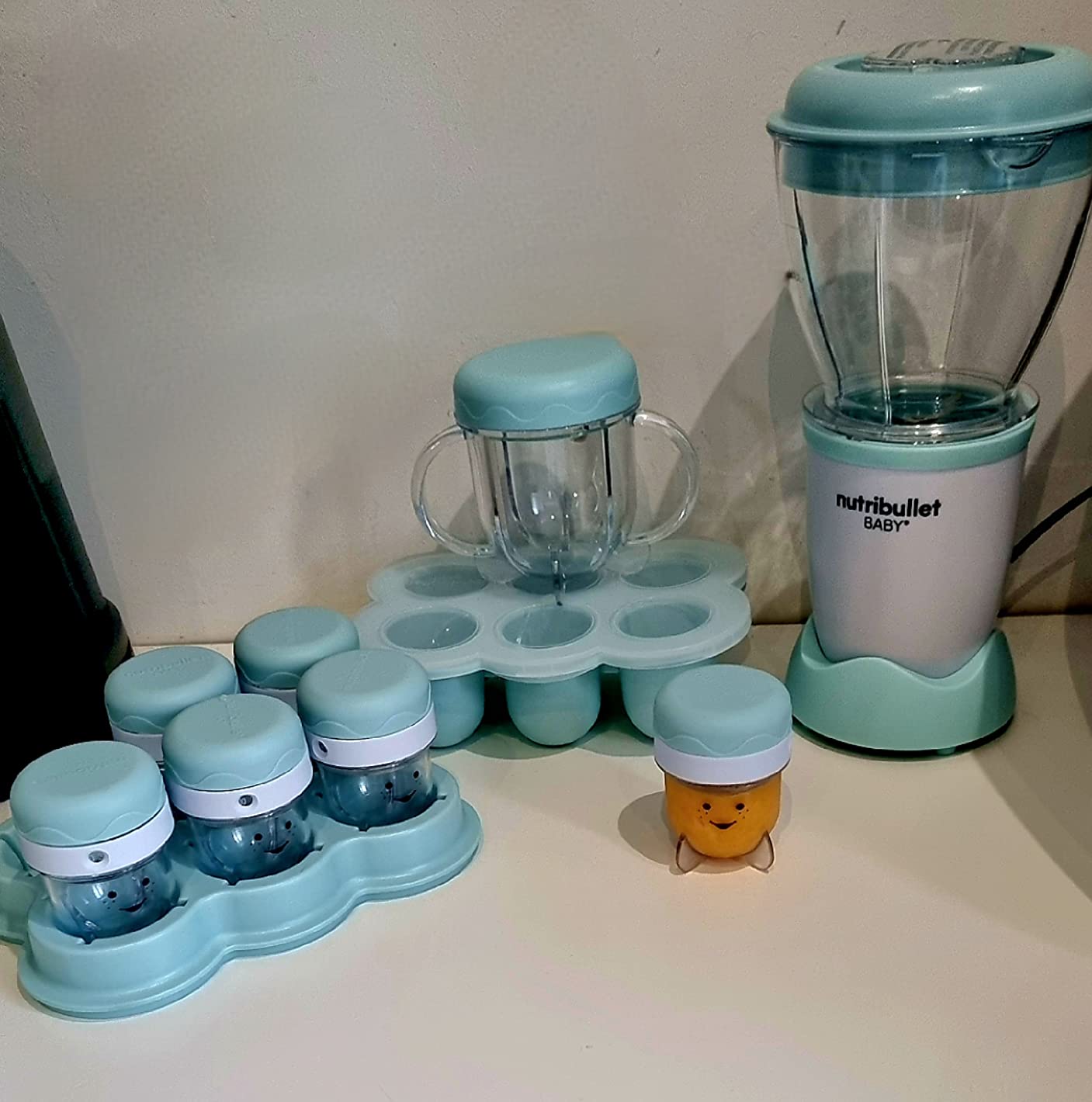 Frische Babynahrung ohne Stress
